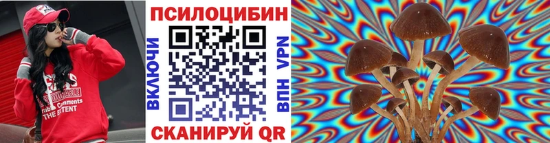 купить закладку  Иланский  Галлюциногенные грибы Magic Shrooms 